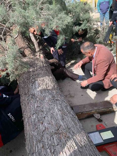 Burdurda devrilen ağacın altında kalan belediye başkan adayı ve oğlu yaralandı